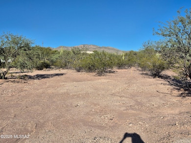 2016 N Wentworth Rd, Tucson, AZ 85749 - photo 2