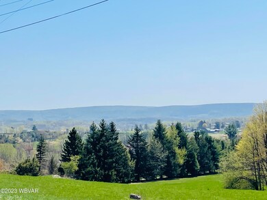 773 Back St, Roaring Branch, PA 17765 - photo 4