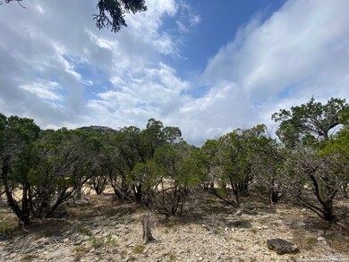 3814 Smithson Ridge Rd, San Antonio, TX 78261 - photo 2