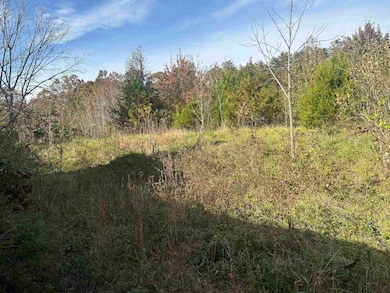 1948 Few Chapel Rd, Greer, SC 29651 - photo 3