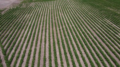 0 Levee Rd, Fults, IL 62244 - photo 7