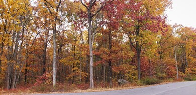 Lot 130 Springwood Dr, Hawley, PA 18428 - photo 3