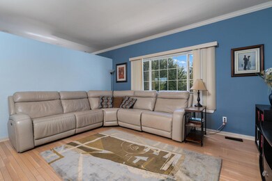 22-web-or-mls-DSC06106