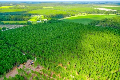 4060 County Farm Rd, Blackshear, GA 31516 - photo 2