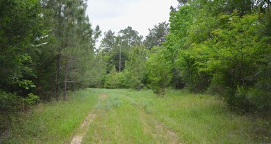CR460/Cook Rd, Etoile, TX 75944 - photo 6