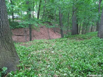Exterior Back. Beautiful sloping land- privacy!