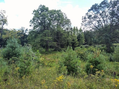 1150 Logan Hollow-Copperas Branch Rd, Morehead, KY 40351 - photo 3