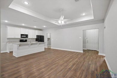 Kitchen with a tray ceiling, white cabinetry, dark wood-style flooring, recessed lighting, and a center island with sink