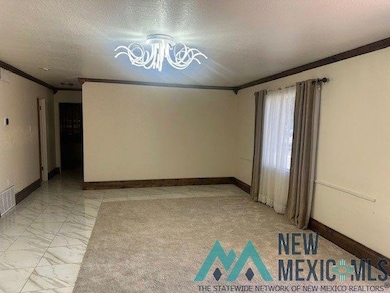 1108 N Guadalupe St, Carlsbad, NM 88220 - photo 2
