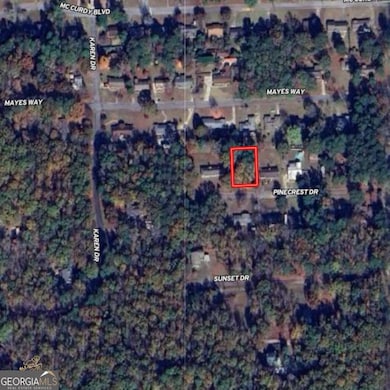 LOT 188 Pinecrest Dr, Manchester, GA 31816 - photo 7