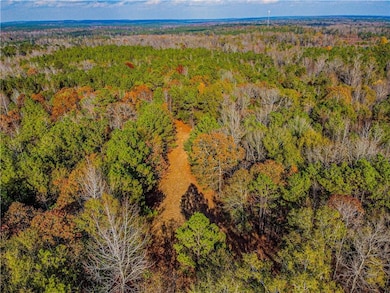 0 Lee Road 175 unit 177730, Salem, AL 36874 - photo 2