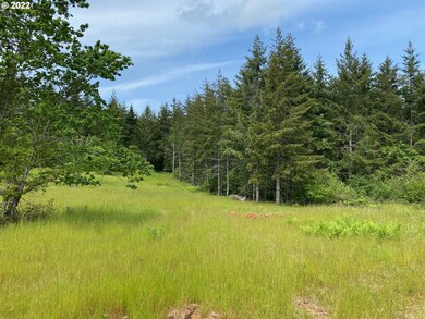 0 Business 18b Hwy unit 22447435, Willamina, OR 97396 - photo 5