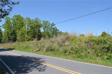 999 Bear Creek Rd, Leicester, NC 28748 - photo 2