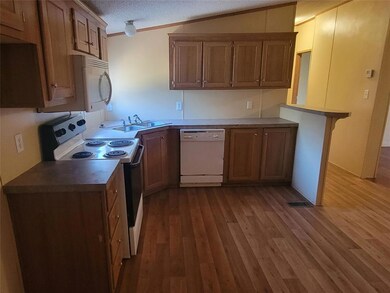 5041 Tin Top Rd, Weatherford, TX 76087 - photo 4