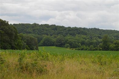 000 Ford Farm Rd, Sharpesburg, NC 28625 - photo 5