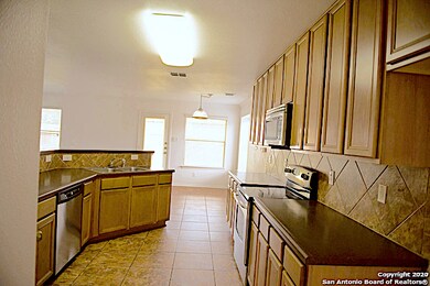 11103 Palomino Bend, San Antonio, TX 78254 - photo 5