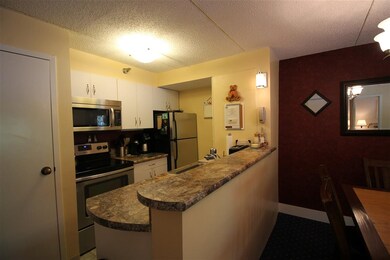 23 Black Bear Way unit 304, Waterville Valley, NH 03215 - photo 5