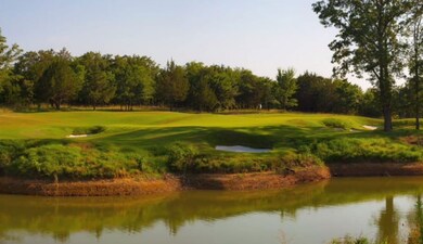 432 Medallion Club, Gordonville, TX 76245 - photo 4