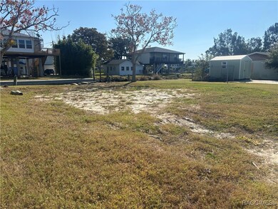 14206 Hendry Ct, Hudson, FL 34667 - photo 4