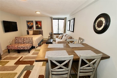 189 Ten Mile Cir unit 452, Frisco, CO 80443 - photo 6