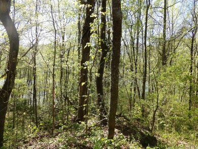 Mullins Cove 001