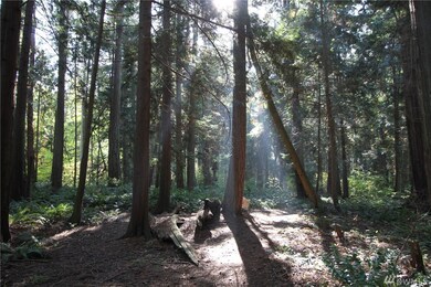 0 Benson Rd, Point Roberts, WA 98281 - photo 6