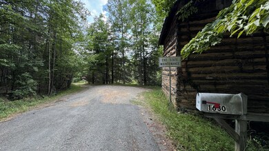 IMG_5703