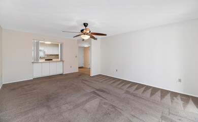 10407 W Deanne Dr-large-003-006-10407 W