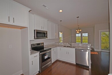 3 Red Skiff Ln unit 11, Pawleys Island, SC 29585 - photo 3