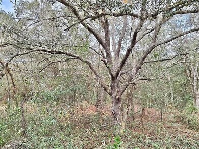 TBD SE 73rd Place unit Lot 11, Morriston, FL 32668 - photo 2