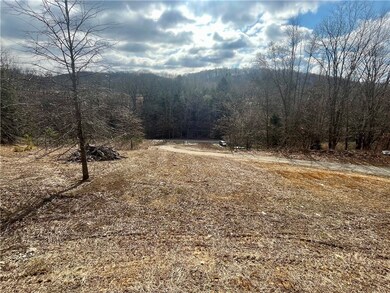 153 Shuster Hollow Rd, Leechburg, PA 15656 - photo 4