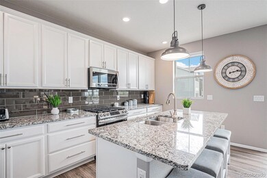 17060 E 95th Ave, Commerce City, CO 80022 - photo 5