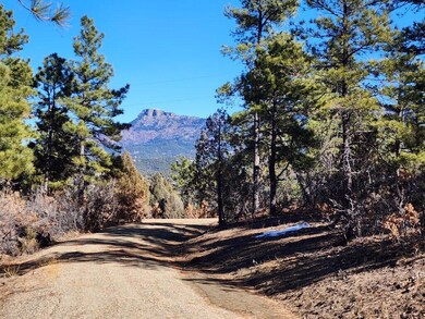 0 Old Mission Ridge unit D42 23-55, Trinidad, CO 81082 - photo 6