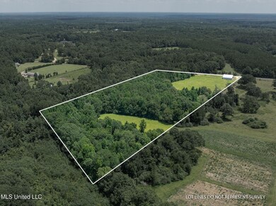 1104 Old Highway 24 Extension, McComb, MS 39648 - photo 4