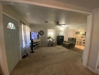 207 W Pecan St, Sadler, TX 76264 - photo 2