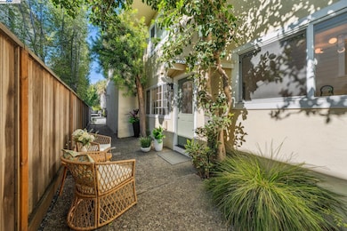 5242 Miles Ave unit C, Oakland, CA 94618 - photo 4