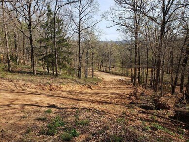 15562 Low Gap Rd, West Fork, AR 72774 - photo 7