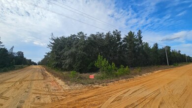 0 Schaffer St unit 25703472, Interlachen, FL 32148 - photo 2