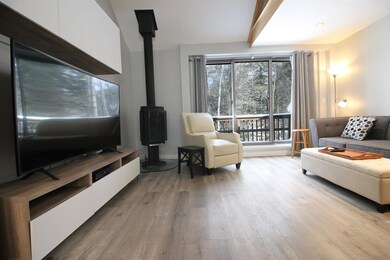 21 Tripyramid Way unit 22, Waterville Valley, NH 03215 - photo 3