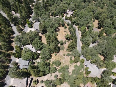 30209 Elfin Ct, Running Springs Area, CA 92382 - photo 3