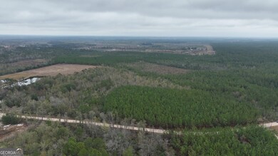 0 Off Doc McTier Rd unit 10656659, Baxley, GA 31513 - photo 6