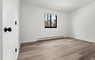 14 Pierce St unit 3, Foxboro, MA 02035 - photo 5