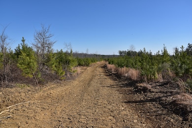 0 White Oak Rd unit RTC2974718, Stewart, TN 37175 - photo 5