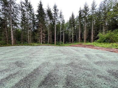 4502 200th St NW, Stanwood, WA 98292 - photo 2