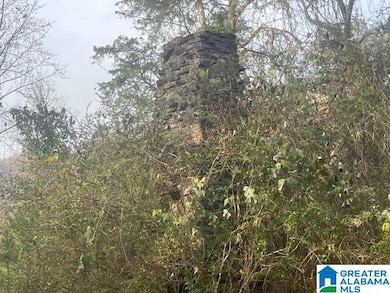 3000 Roberts Mill Pond Rd, Pell City, AL 35125 - photo 7