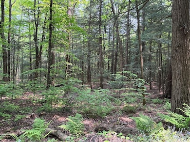 0 Spring Rd S, Ossian, NY 14437 - photo 2