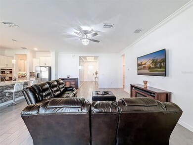 17301 Scuba Crest St, Wimauma, FL 33598 - photo 7