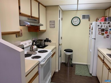 111 Turtle Creek Rd unit 4, Charlottesville, VA 22901 - photo 5