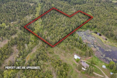 000 Hesseltine Lot 4 Rd, Valley, WA 99181 - photo 3
