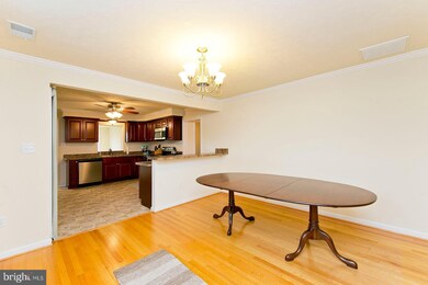 1314 Macedonia Church Rd, Stephens City, VA 22655 - photo 6